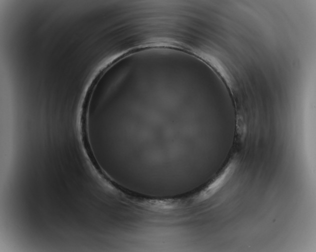 X0000092320995200709211326