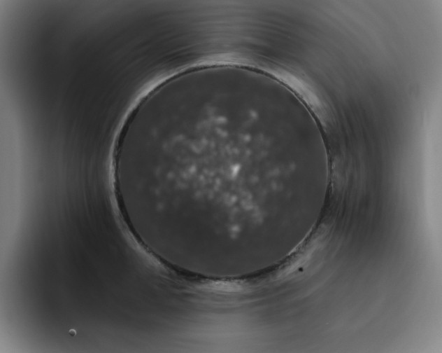 X0000092320998200709211326