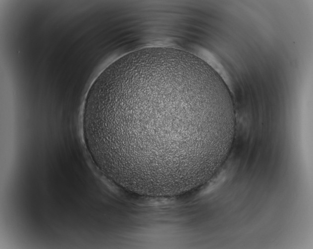 X0000092321002200709211326