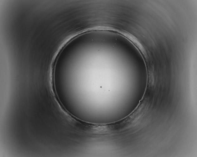 X0000092321006200709211326