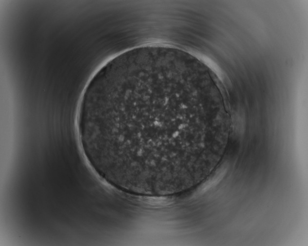 X0000092321007200709211326