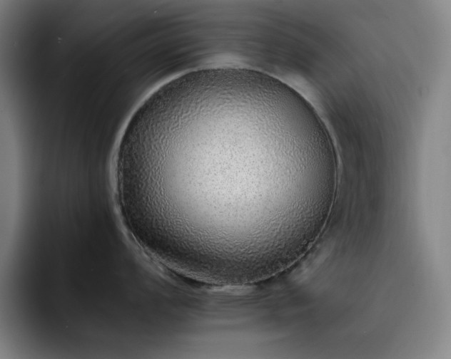 X0000092321008200709211326