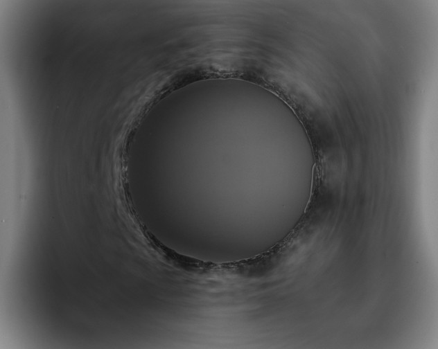 X0000092321009200709211325