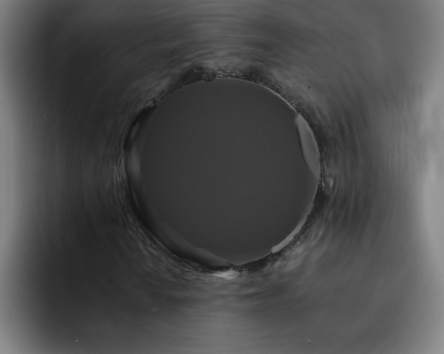X0000092321010200709211325