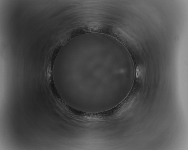 X0000092321011200709211325