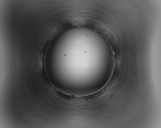X0000092321012200709211325