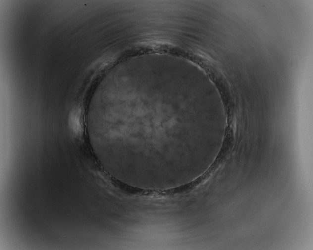X0000092321014200709211325