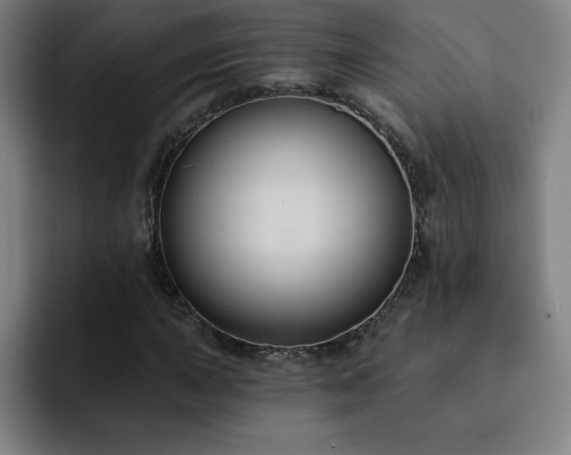X0000092321015200709211325