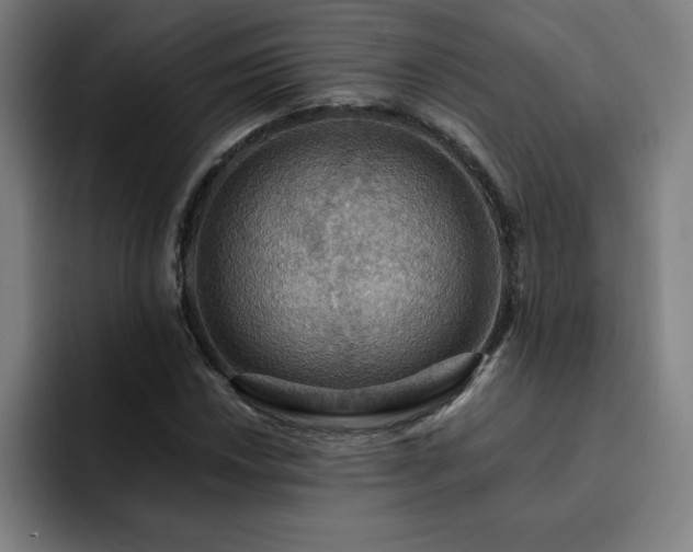 X0000092321018200709211325