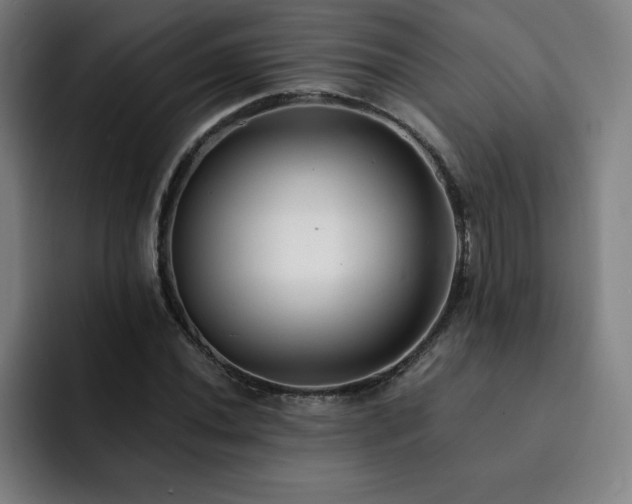 X0000092321020200709211325