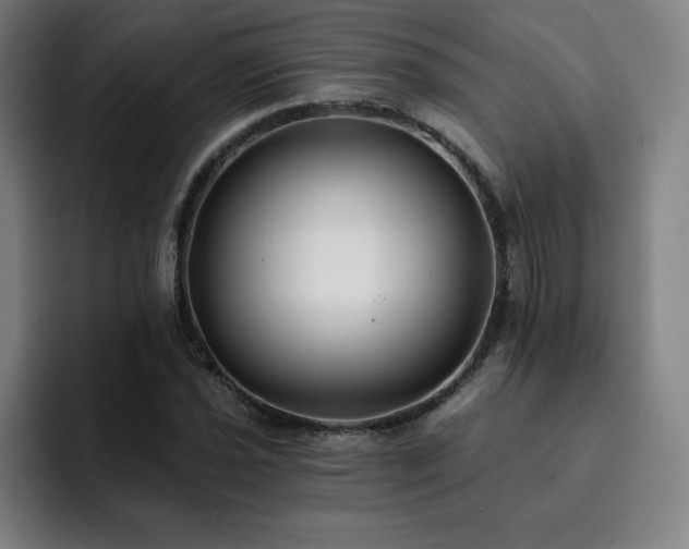 X0000092321021200709211325