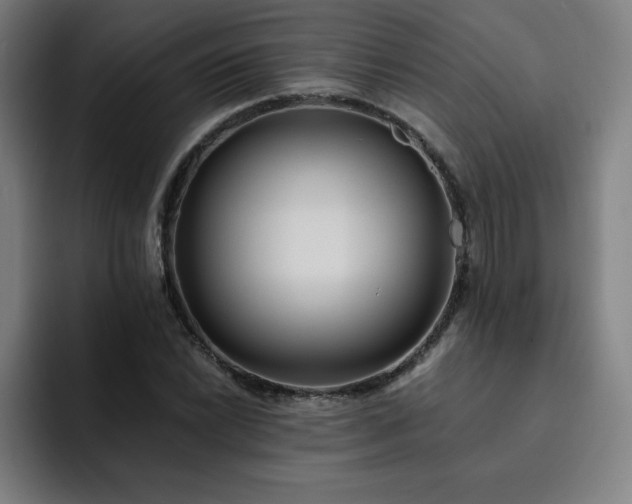 X0000092321022200709211325