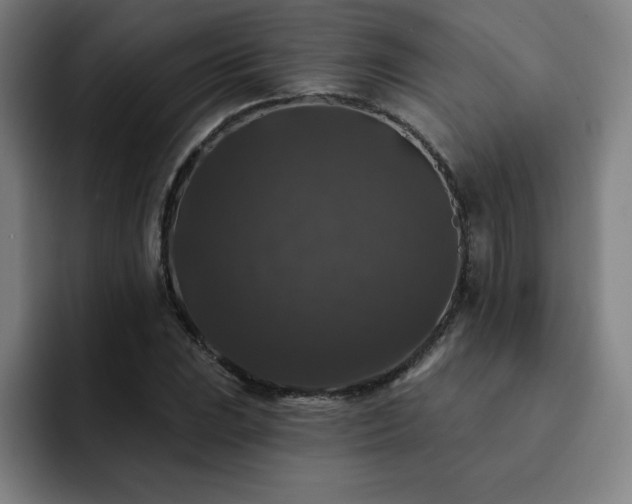X0000092321023200709211325