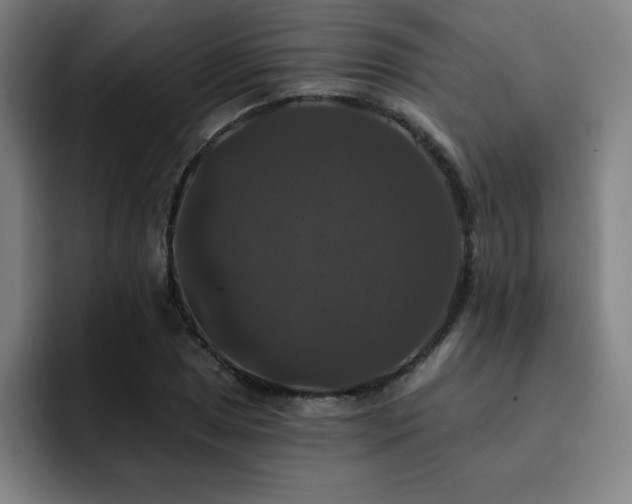 X0000092321025200709211326