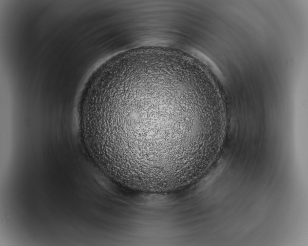 X0000092321027200709211326
