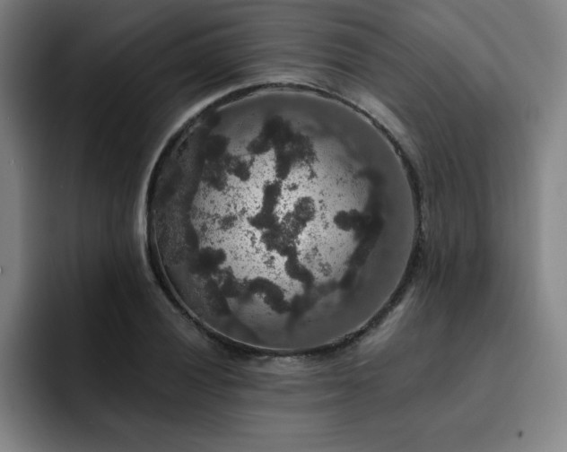 X0000092321028200709211326