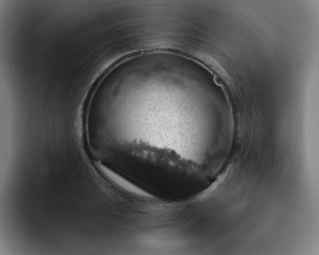 X0000092321031200709211326