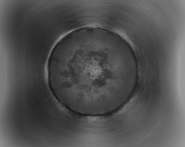 X0000092321032200709211326