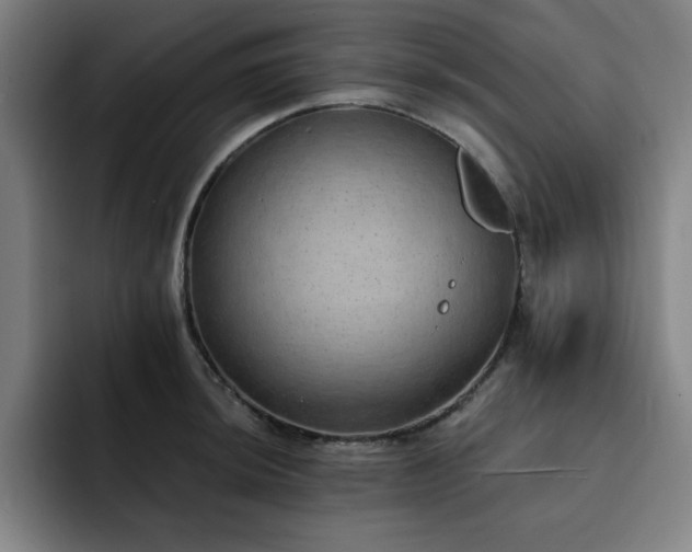 X0000092321044200709211326