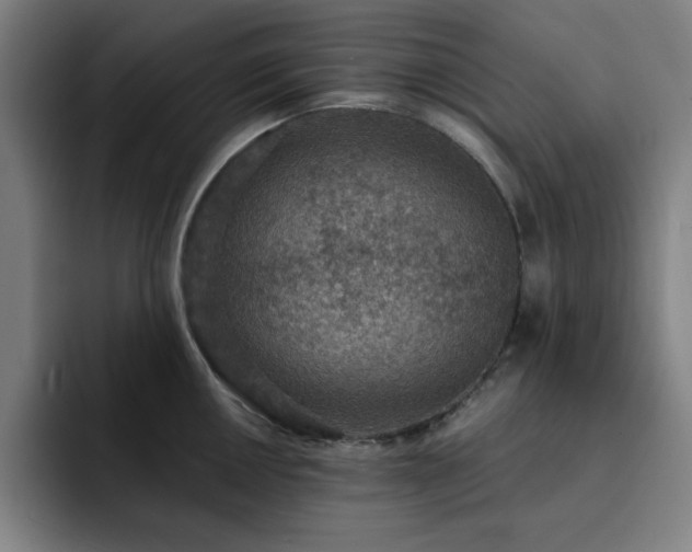 X0000092321050200709211326