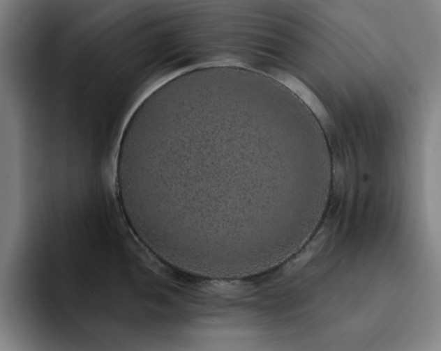 X0000092321052200709211326