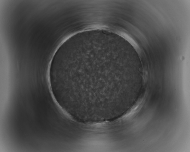 X0000092321055200709211326