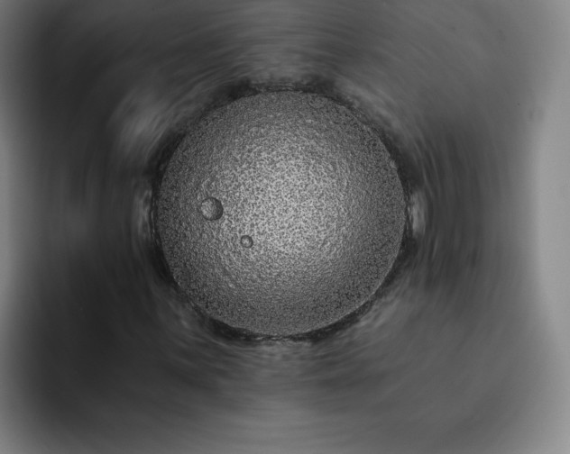 X0000092321059200709211325