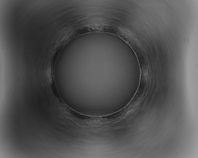 X0000092321060200709211325