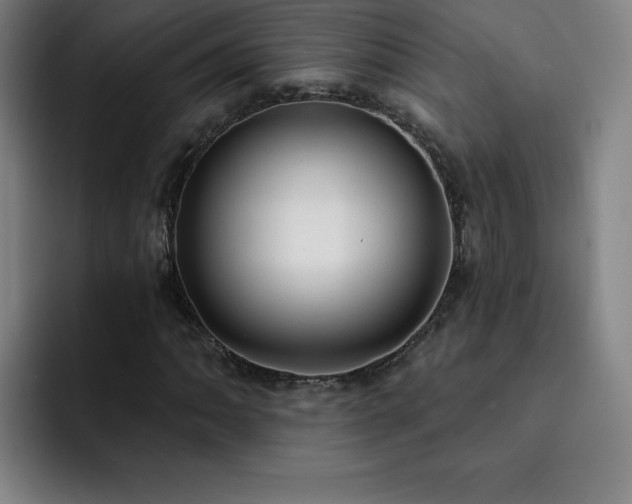 X0000092321062200709211325