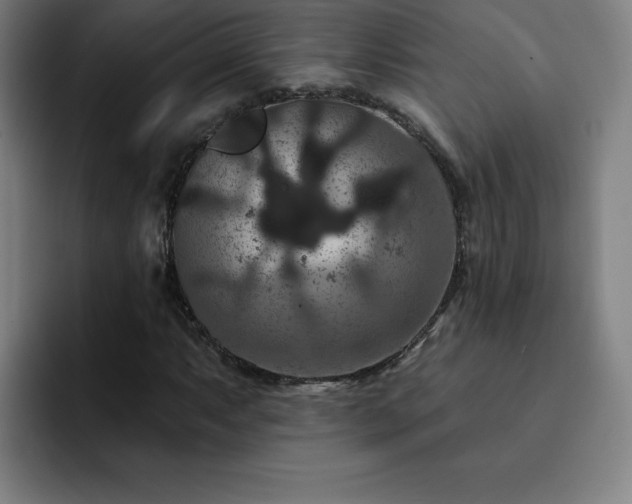 X0000092321063200709211325