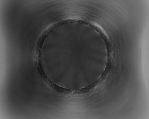 X0000092321064200709211325