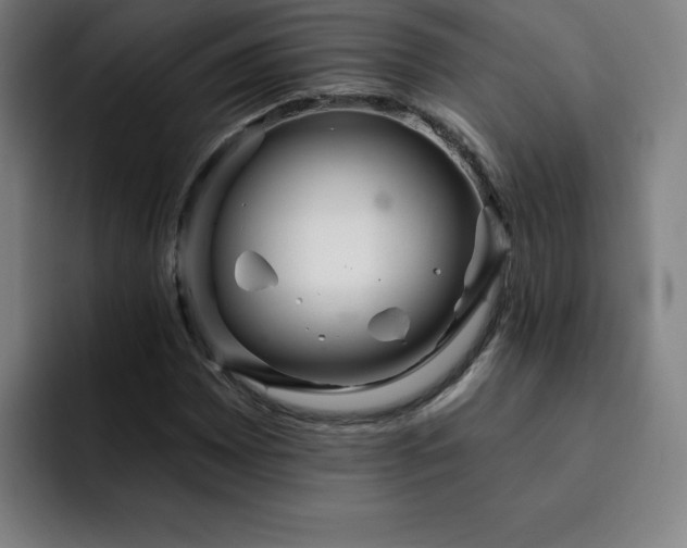 X0000092321065200709211325