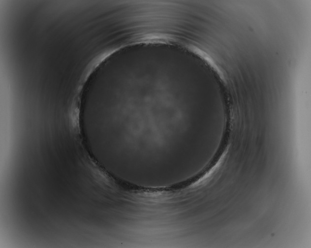 X0000092321066200709211325