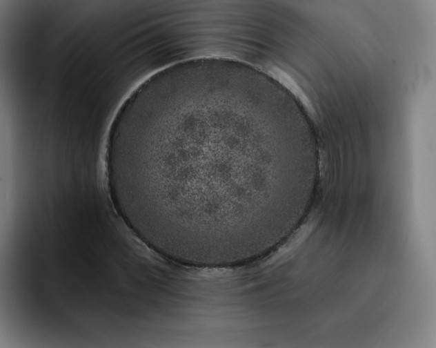 X0000092321068200709211325