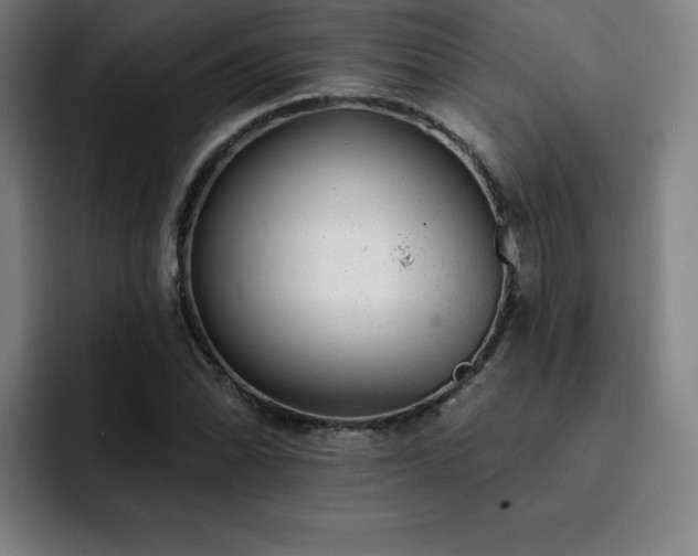 X0000092321070200709211325