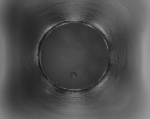 X0000092321071200709211325