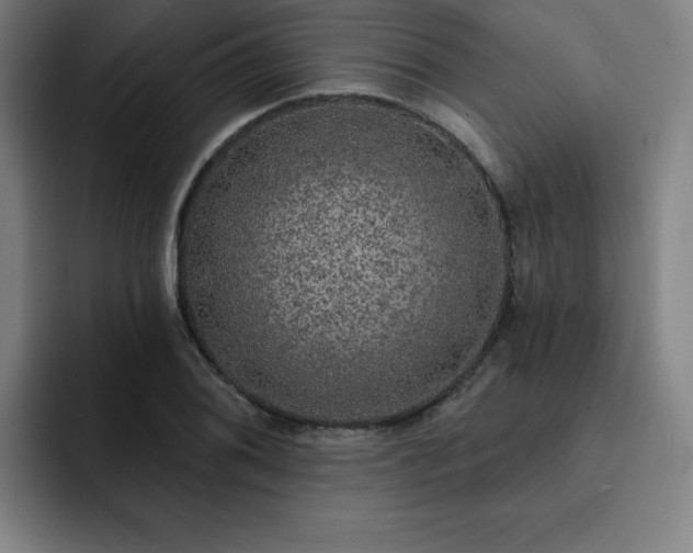 X0000092321076200709211325