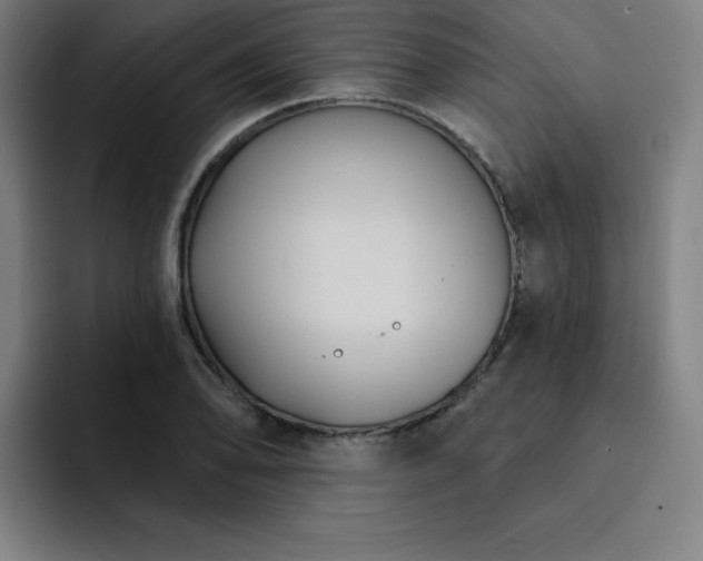 X0000092321078200709211325