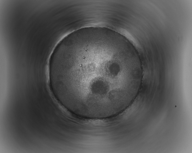 X0000092321079200709211325