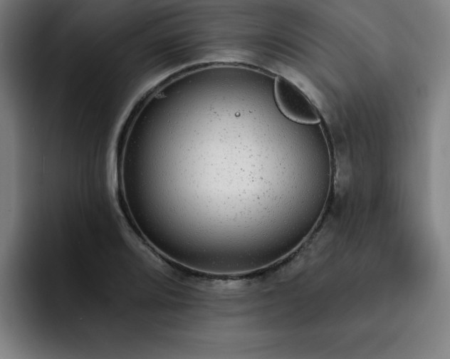 X0000092321080200709211325