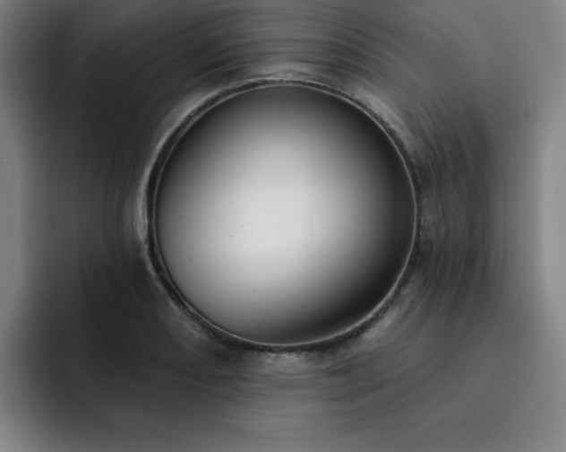 X0000092321082200709211325