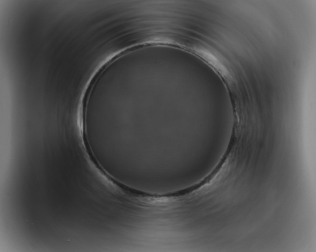 X0000092321084200709211325