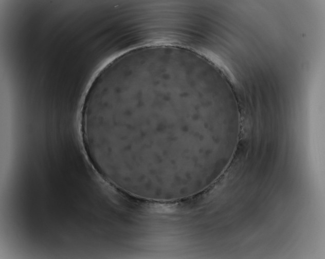 X0000092321086200709211325