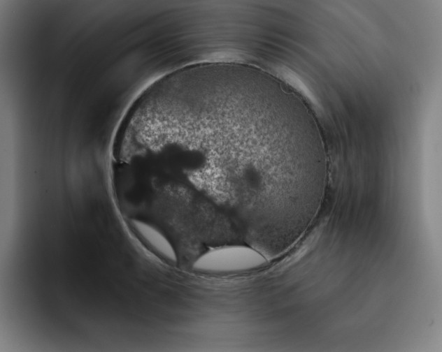 X0000092321087200709211325