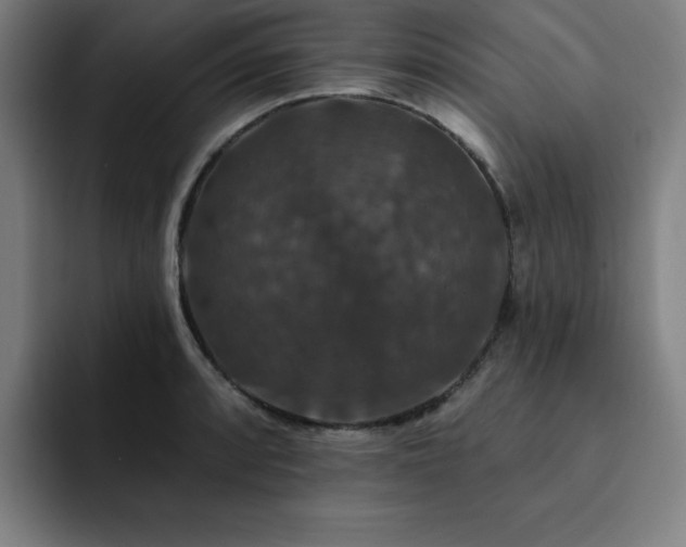 X0000092321088200709211325