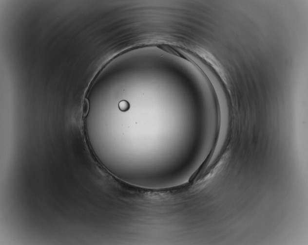 X0000092321089200709211325