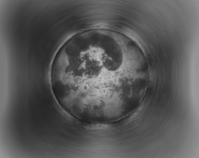 X0000092321090200709211325