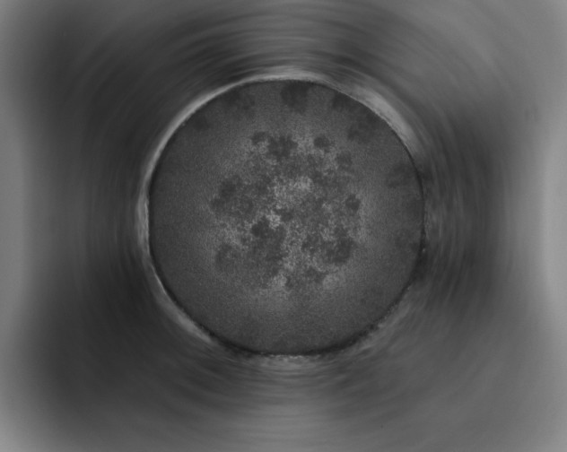 X0000092321092200709211325