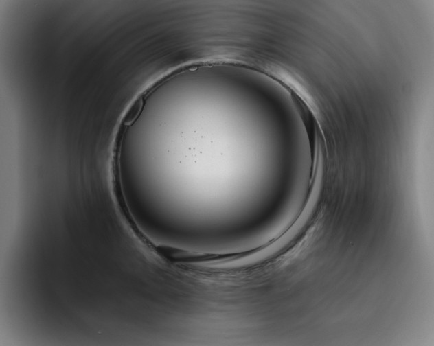 X0000092321093200709211325