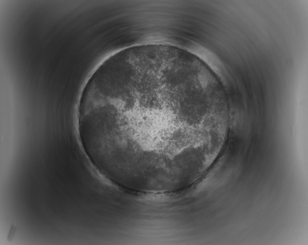 X0000092321094200709211325
